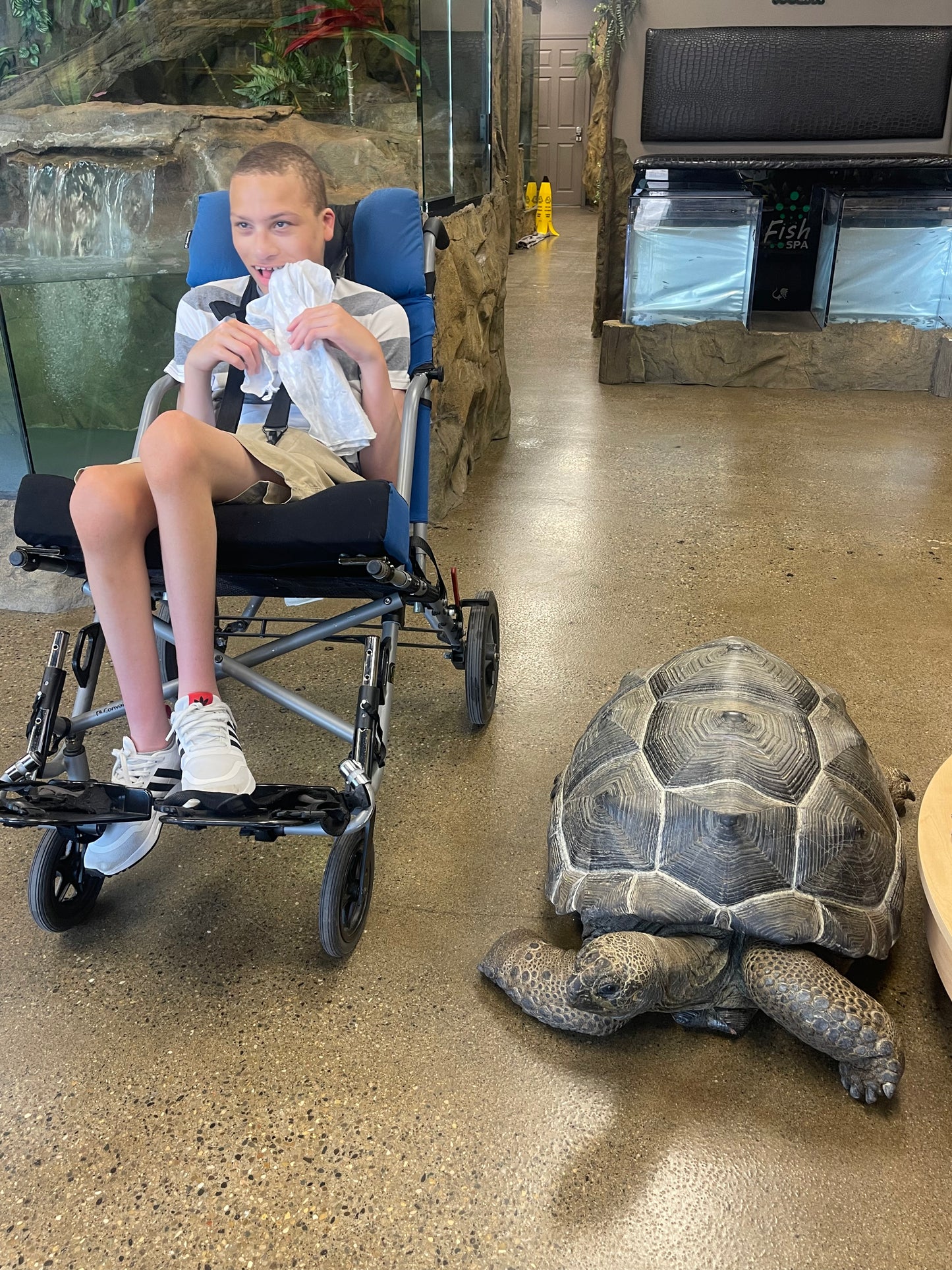 Sensory-Friendly Reptile Encounters - Monday, April 8th