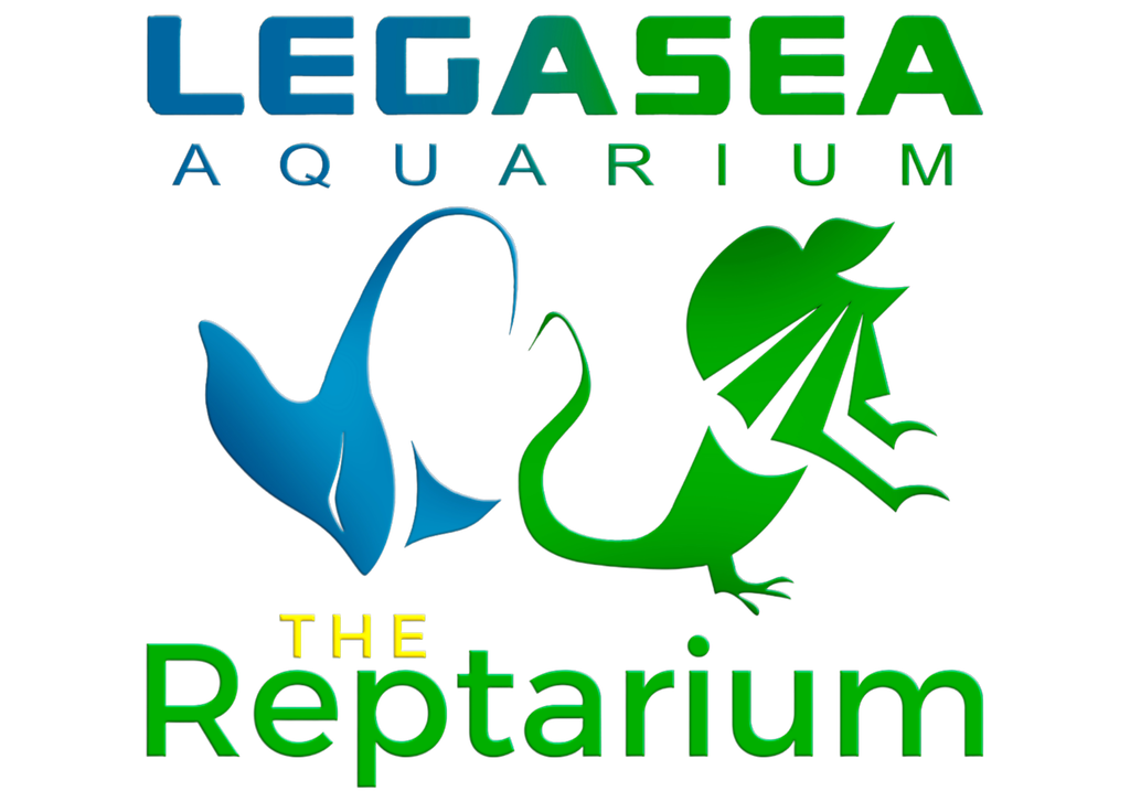 LegaSea Aquarium & The Reptarium