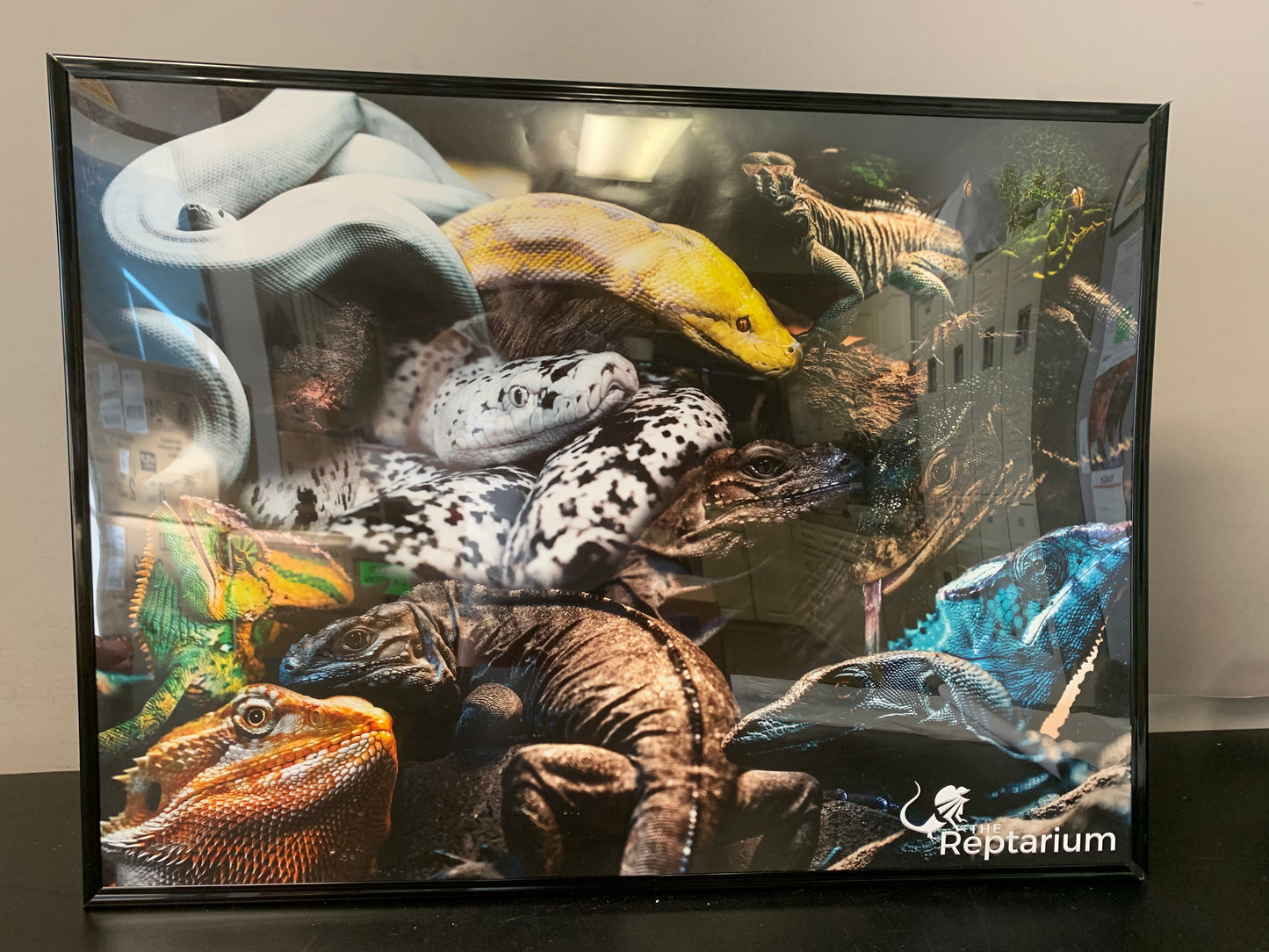Mural Poster