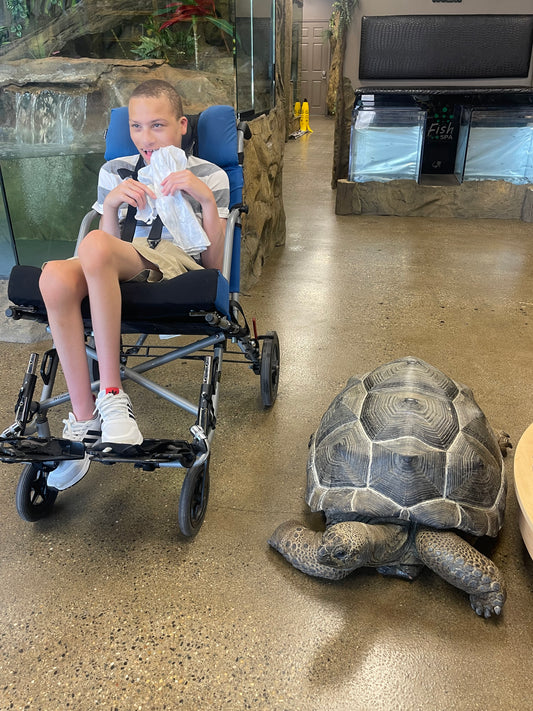 Sensory-Friendly Reptile Encounters - Monday, April 8th