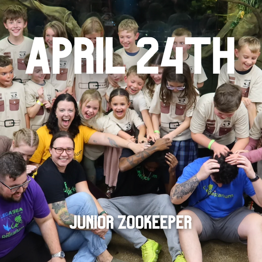 Junior Zookeeper Day at The Reptarium - Wednesday, April 24th - 5:00 PM - 7:00 PM