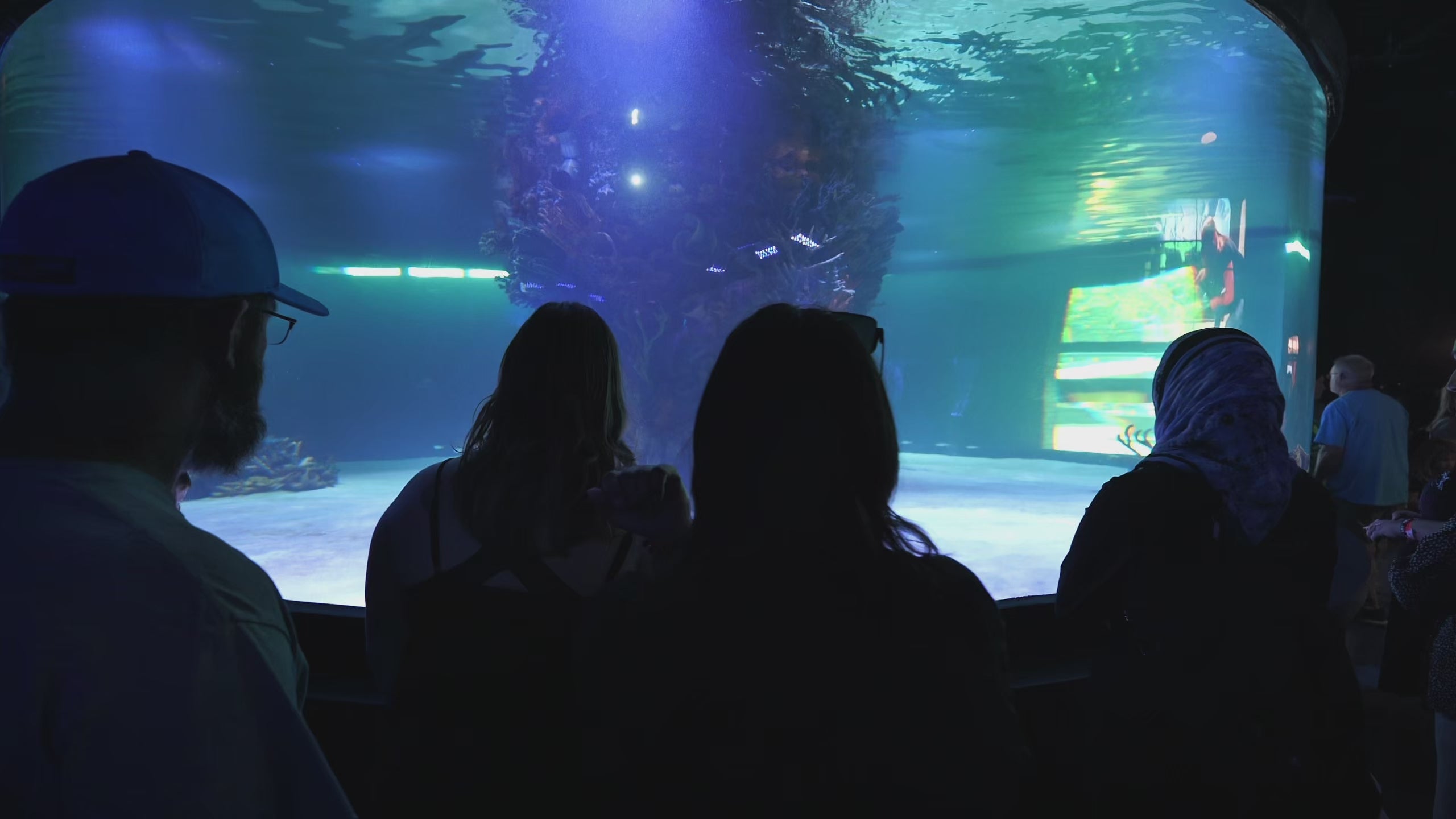 Shirley Temple アクアリウム LegaSea Aquarium & The Reptarium - Indoor Interactive Aquarium & Zoo