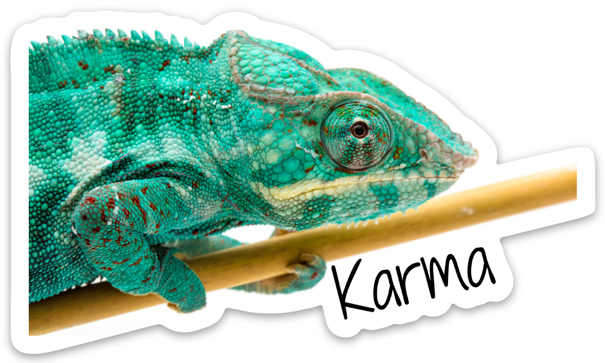 Reptarium Ambassador Animal Stickers - The Reptarium