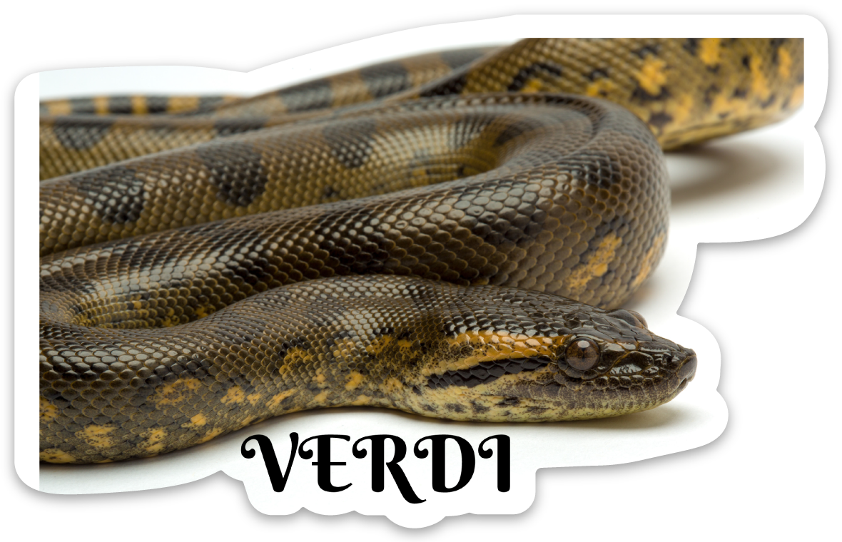 Reptarium Ambassador Animal Stickers - The Reptarium