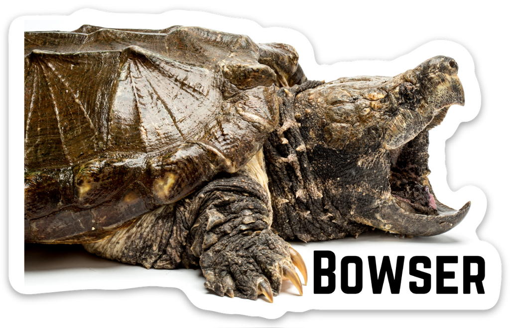 Reptarium Ambassador Animal Stickers - The Reptarium
