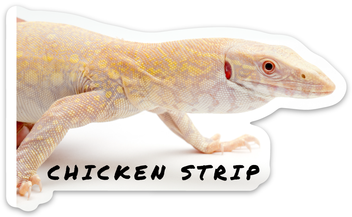 Reptarium Ambassador Animal Stickers - The Reptarium