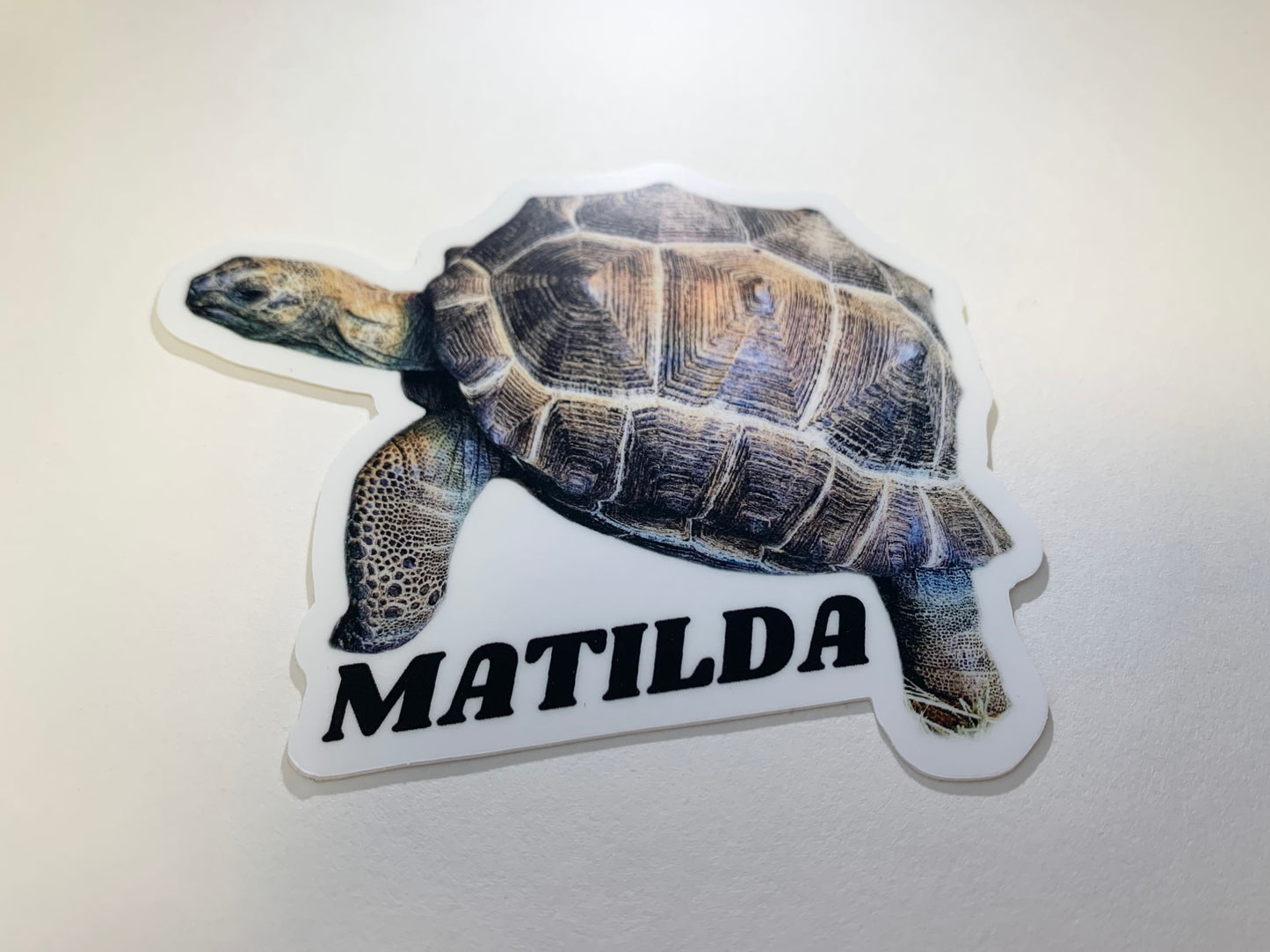 Ambassador Animal Stickers