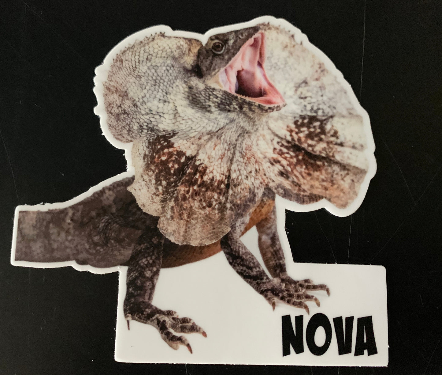 Ambassador Animal Stickers
