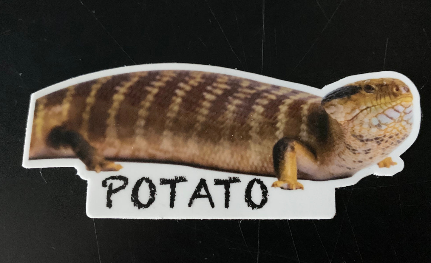 Ambassador Animal Stickers