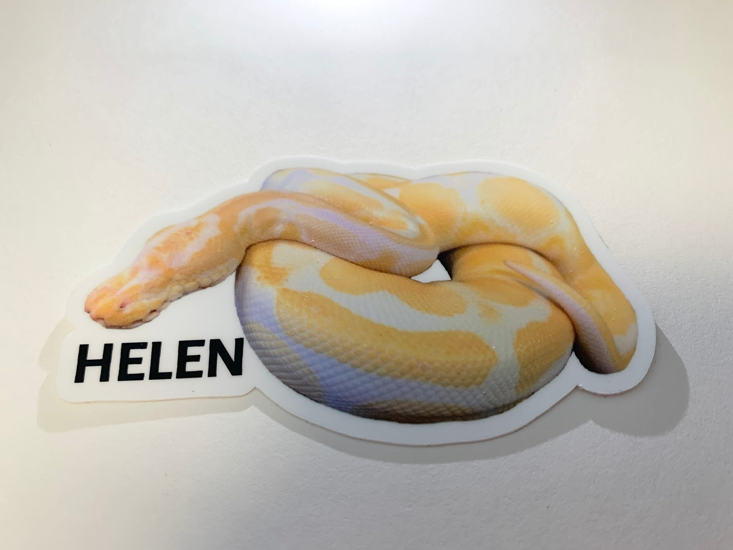 Ambassador Animal Stickers
