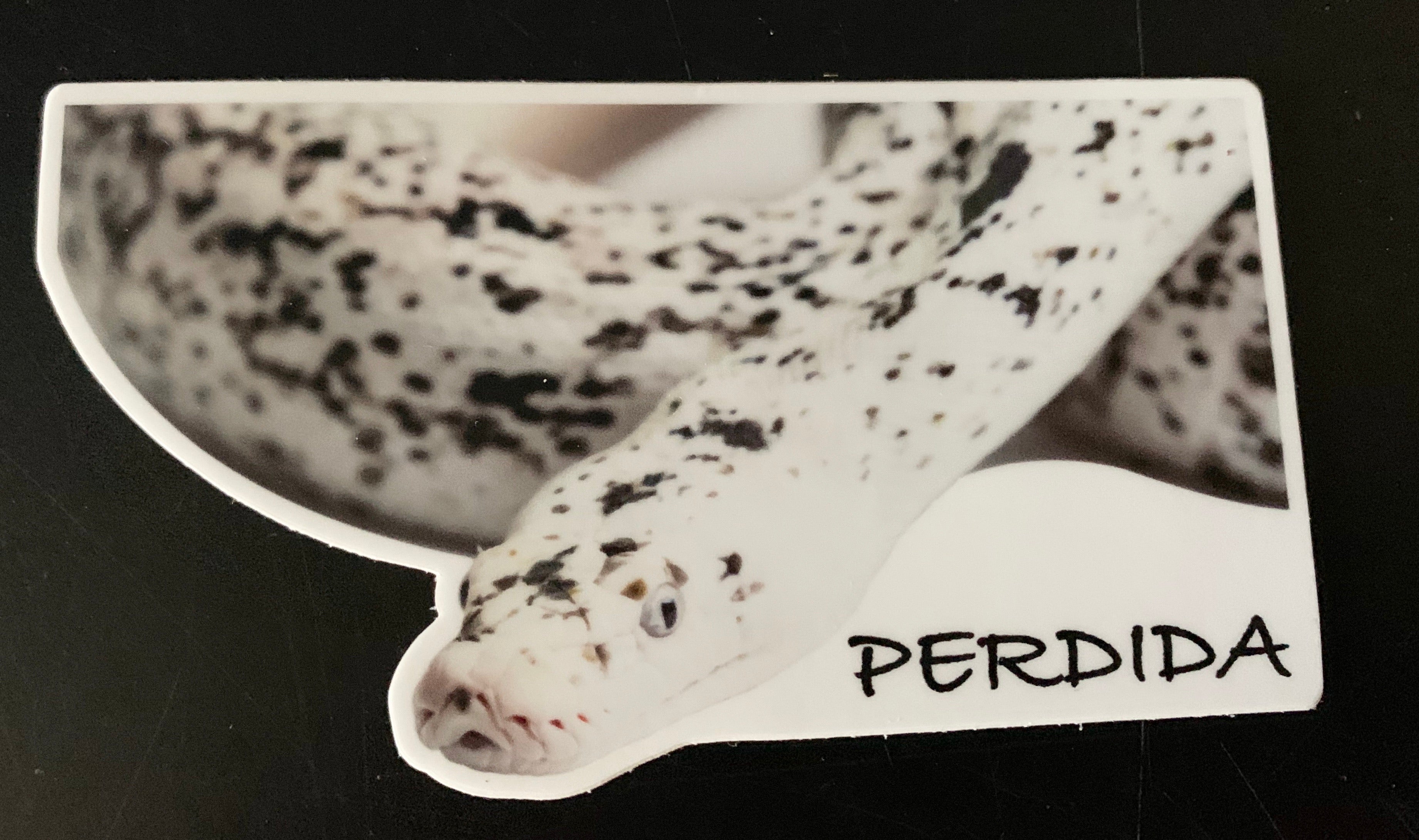 Ambassador Animal Stickers
